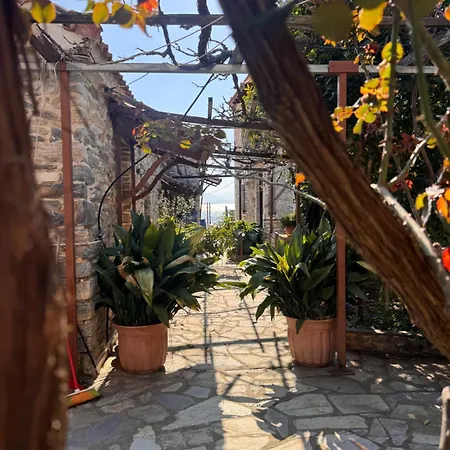 Andromahi Lefokastro